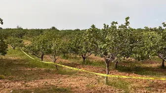 Kütahya'da traktör kazası : Çiftçi hayatını kaybetti