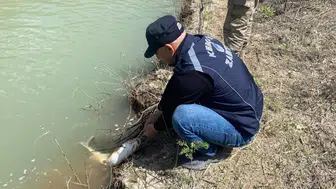 Erzincan Karasu Nehri'nde kaçak avcılık denetimi