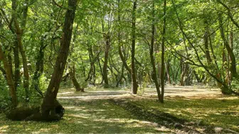 Muğla’da ormanlara giriş yasaklandı : 31 Ekim'e kadar yasak