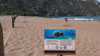 Muğla İztuzu Sahili'nde caretta yuvaları 21'e yükseldi