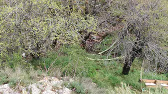 Isparta'da yüksekten düşen 36 yaşındaki kadın hayatını kaybetti : Olayla ilgili soruşturma başlatıldı