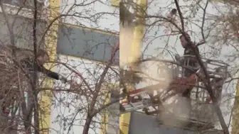 Kars'ta güvecin ağaçta mahsur kaldı, itfaiye ekipleri kurtardı