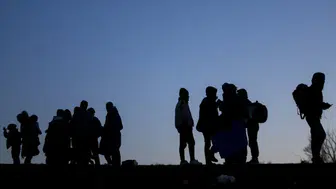 Edirne ve Kırklareli'de göçmen operasyonu : 13 şahıs yakalandı
