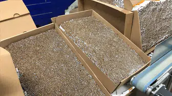 Afyonkarahisar’da 4 milyon 675 bin adet kaçak makaron ele geçirildi