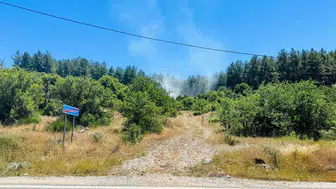 Muğla Menteşe'de orman yangını
