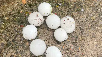 Kayseri'de ceviz büyüklüğünde dolu : Meyve ağaçları zarar gördü