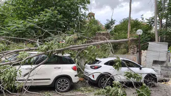 Aydın Efeler'de ağaç park halindeki araçların üzerine devrildi
