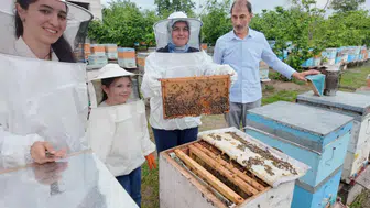 Düzce'de genç kadın girişimci 350 arı kovanıyla üretim sağlyor