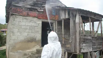 Ordu'da kahverengi kokarcaya karşı ilaçlama çalışmaları yapıldı