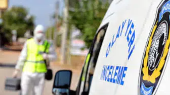 Başakşehir'de 4 yavru kedi parçalanmış halde bulundu
