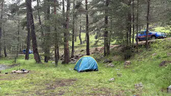 Bolu'da ormanlık alana yıldırım düştü : Piknik yapan 3 kişi yaralandı