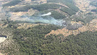 Muğla Milas'ta zirai yangın : Ekipler havadan ve karadan müdahale etti