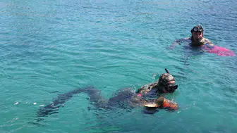 Muğla Bodrum'da deniz dibi temizliği : 260 kilogram atık çıkarıldı