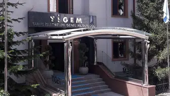 TİGEM 1000 reforme küçükbaş hayvan için ihale açtı