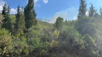Marmaris Löngöz Koyu'nda yıldırım kaynaklı orman yangını