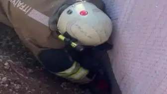 Molozların altında kalan yavru kediyi itfaiye kurtardı