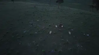 Kars Sarıkamış’ta köpeklerin kovaladığı boz ayı görüntülendi