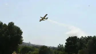 İzmir'in Urla ilçesinde orman yangını