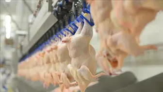 Beyaz et sektöründe haksız fiyat artışı soruşturması