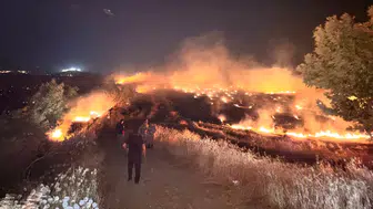 Hatay Kırıkhan'da anız yangını zeytinlik alana sıçradı