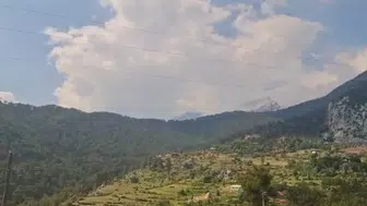 Antalya Serik'te orman yangını