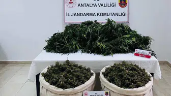 Antalya Serik'te uyuşturucu operasyonu : 11 kilo esrar ele geçirildi