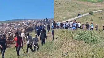Muş'ta iki köy arasında arazi kavgası : 2 kişi yaralı