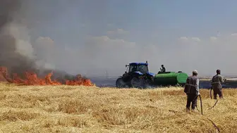 Diyarbakır'da yüzlerce dönümlük arazi küle döndü