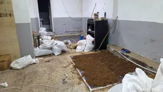 İstanbul ve Adıyaman'da kaçak tütün operasyonu : 24 gözaltı