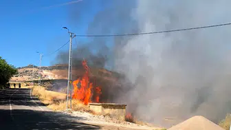 Adıyaman'da karga yangına neden oldu