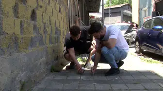 İstanbul'da kene istilası ! Mahalleli bir haftada 500 kene öldürdü
