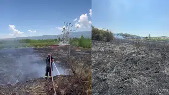 Mersin Mut'ta 15 dönümlük bahçe yandı