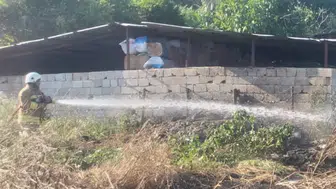 Hatay Hassa'da bahçe yangını : Ekipler kontrol altına aldı