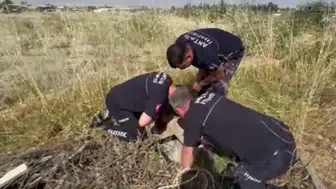 Antalya'da kanalizasyon çukuruna düşen oğlak itfaiye ekiplerince kurtarıldı