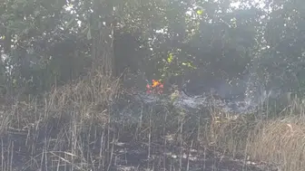 Çanakkale'de tarla yangını : 2 ekili alan kül oldu