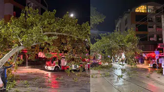 Kocaeli İzmit'te tramvay hattına dal düştü, seferler gecikti
