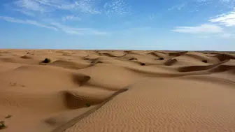 Sahara Çölü'nde feci olay : 50 kişi susuzluktan hayatını kaybetti