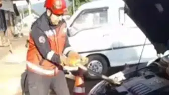 Hendek'te otomobil motoruna giren yılanı itfaiye çıkardı