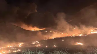Mersin'de çöp sahasında çıkan yangın ormanlık alana sıçradı