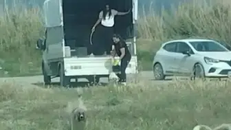 Hatay'da kuşların doğal alanına kamyonetle çok sayıda köpek bıraktılar