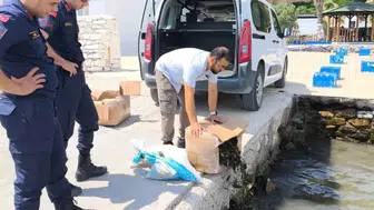 Aydın'da kaçak sevk edilen 60 kilo canlı yengeç ele geçirildi