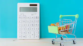 Bütçede en büyük pay konut ve kiraya gitti