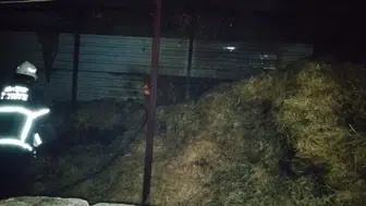 Hatay'da alevler samanlığı sardı : Balyalar zarar gördü