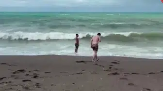 Düzce'de şiddetli rüzgar etkili oldu