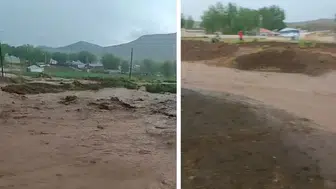 Van'ın Saray ilçesinde sağanak yağış sele neden oldu