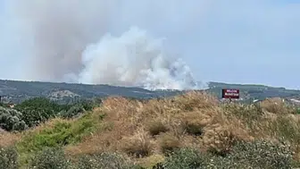 İzmir'de makilik alandan yangın çıktı
