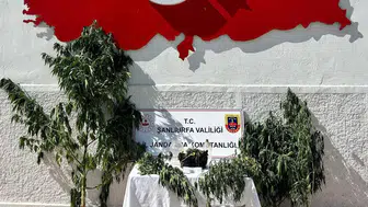 Şanlıurfa'da uyuşturucu operasyonunda bir kişi yakalandı