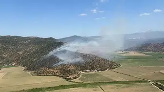 Aydın'da zeytinlik alanda yangın çıktı : Havadan ve karadan müdahale ediliyor