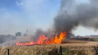 Edirne'de buğday tarlasında yangın