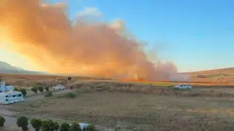 Balıkesir Bandırma'da buğday tarlasında yangın çıktı